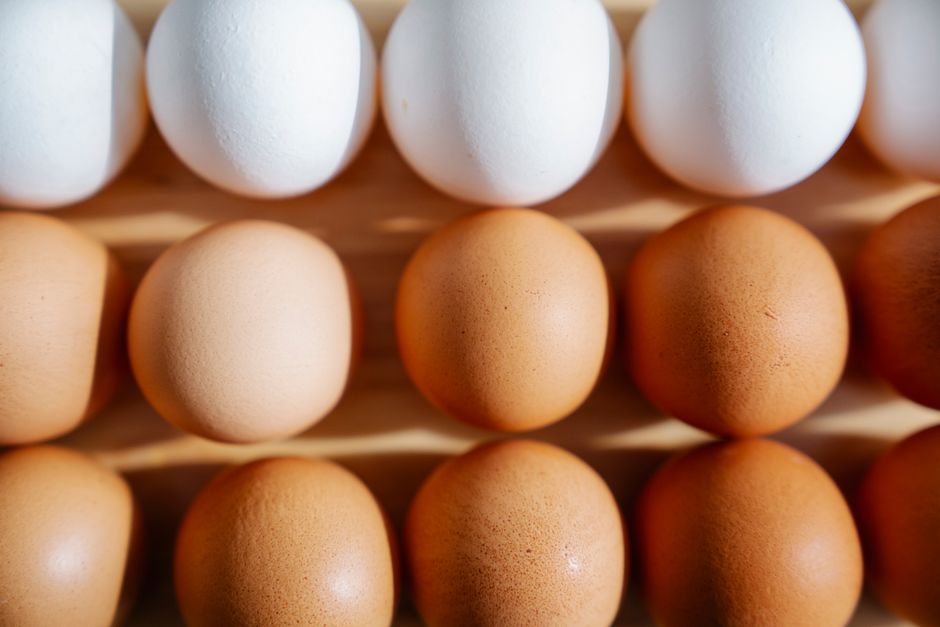 High Protein Foods List